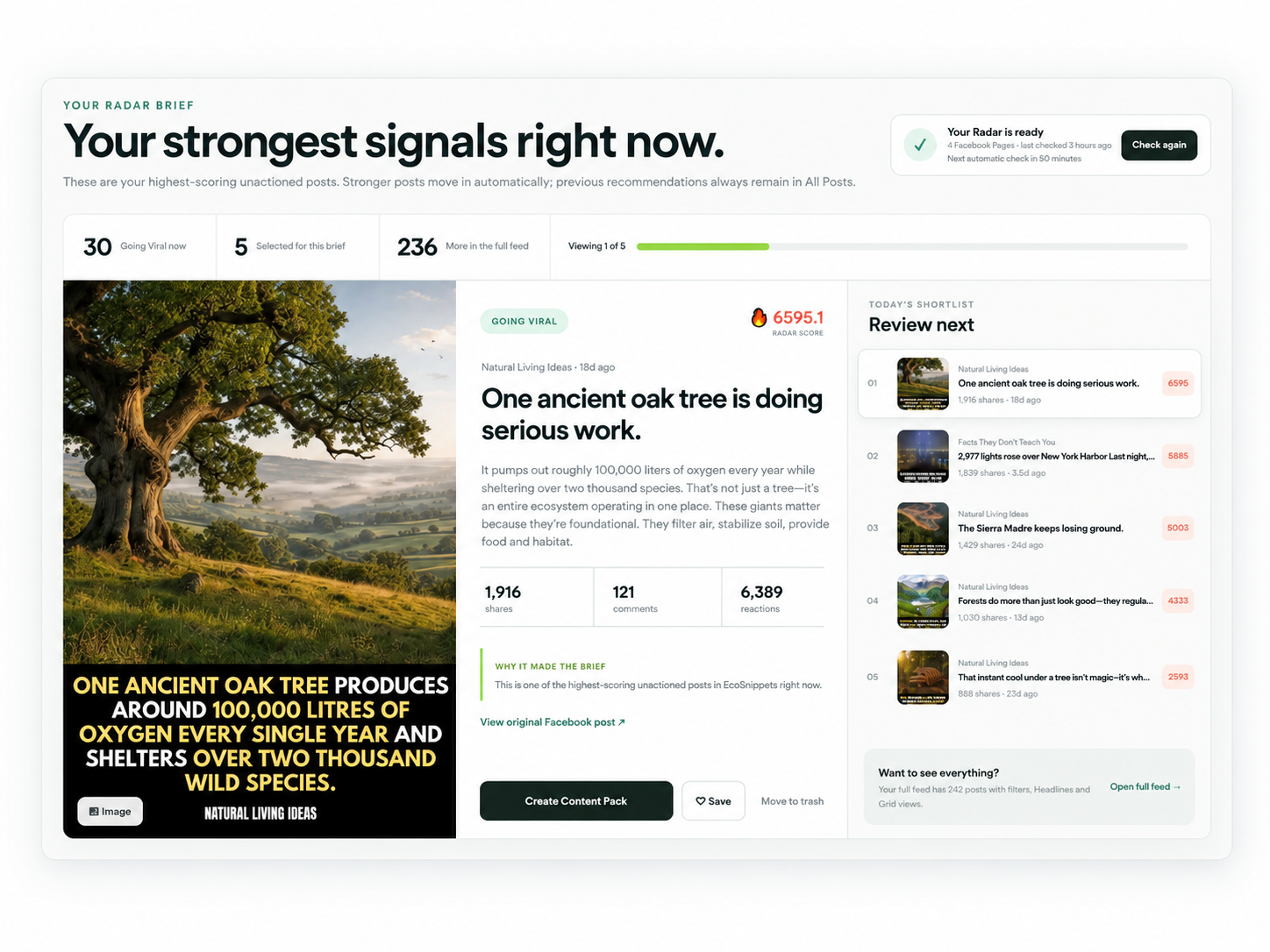 Example Daily Brief showing a featured viral post, its shares and reactions, and a shortlist of posts to use next